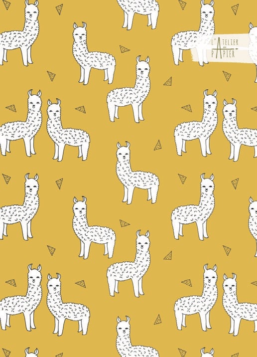Cuaderno A5 16372
