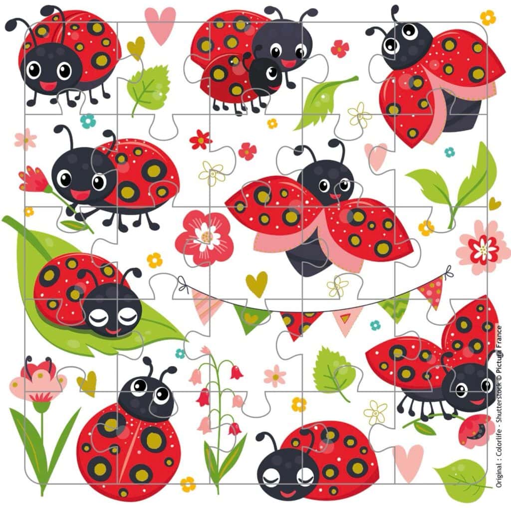 Puzzle 21373
