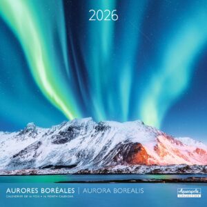 Calendario 2026 24176