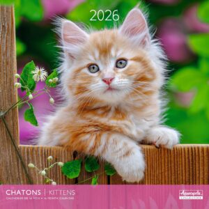 Calendario 2026 24180
