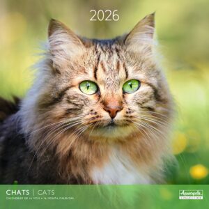Calendario 2026 24181
