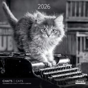 Calendario 2026 24182