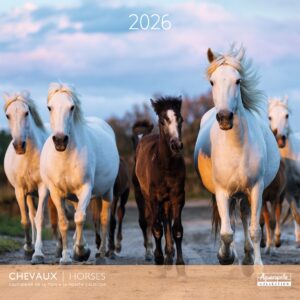 Calendario 2026 24183