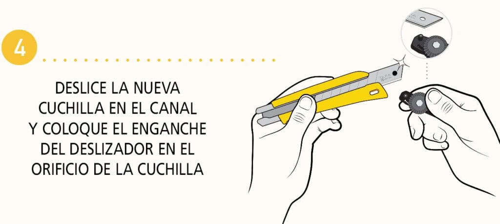Paso 4