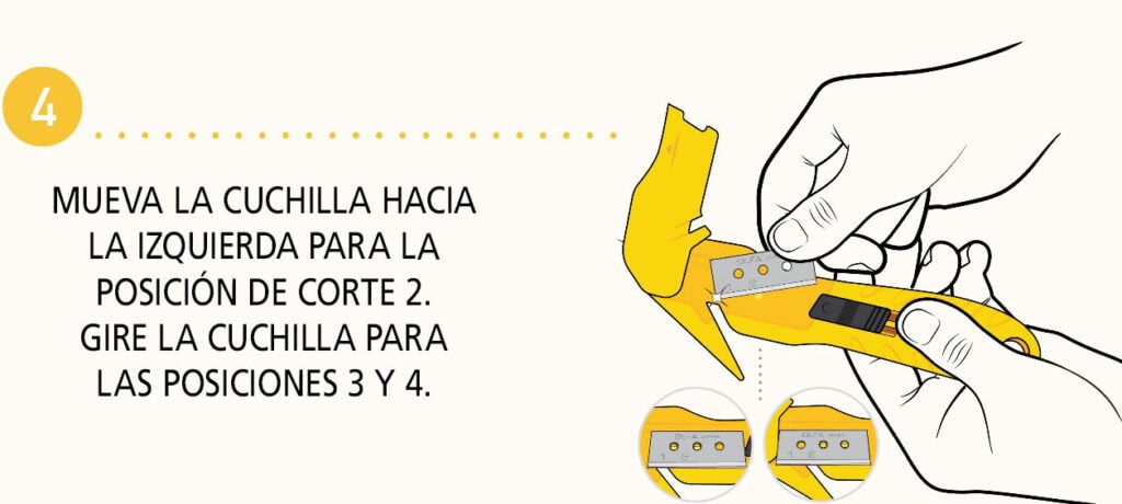 Paso 4