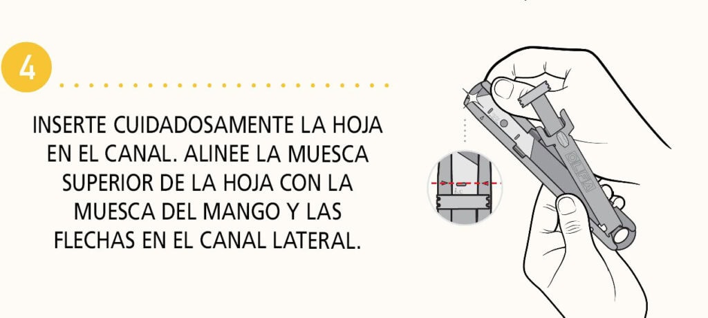 Paso 4