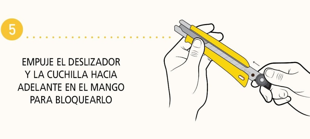 Paso 5