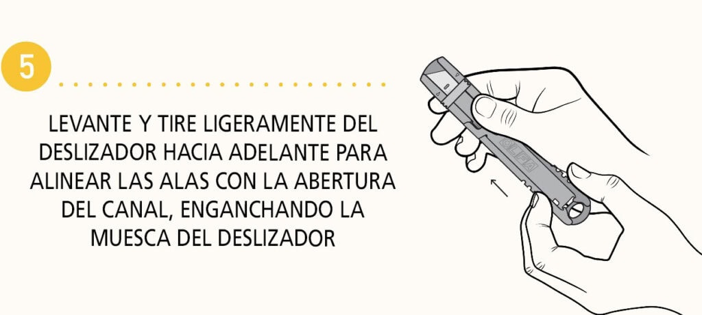 Paso 5