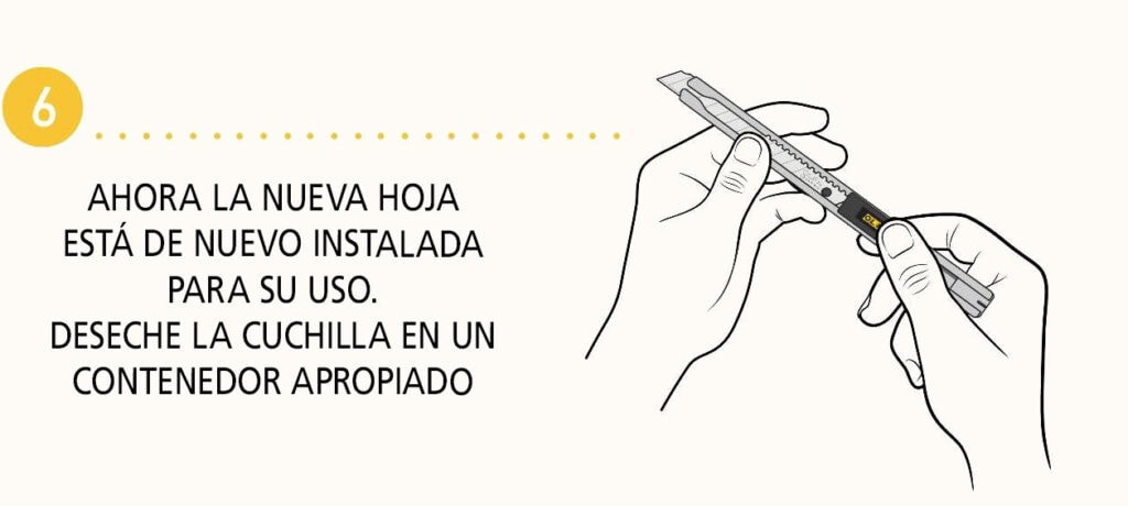 Paso 6