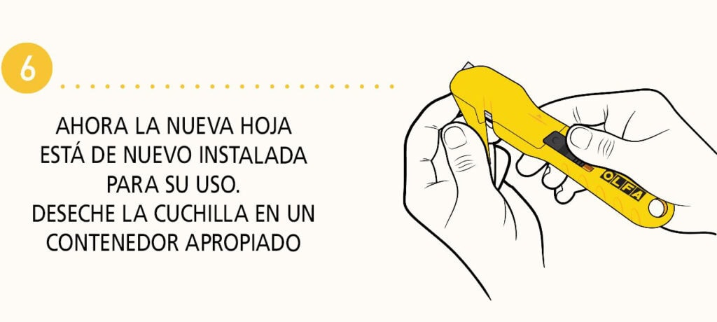 Paso 6