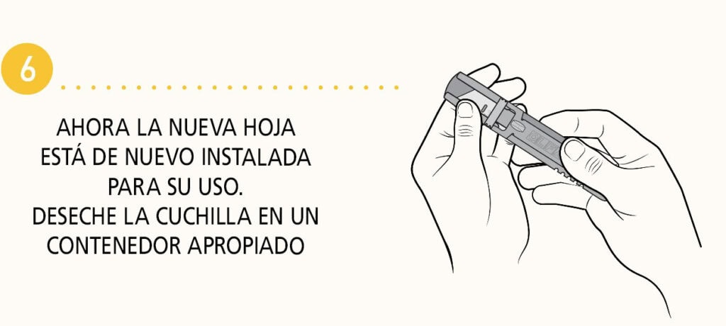 Paso 6