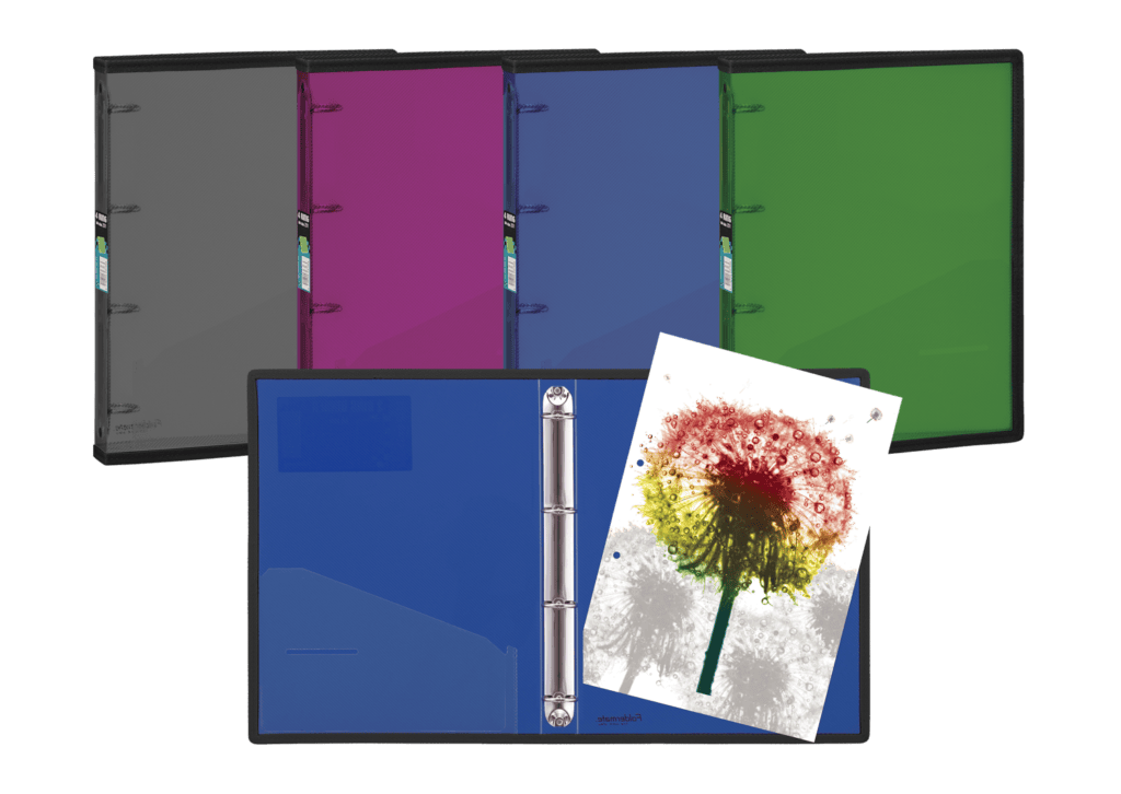 Carpeta de 4 anillas