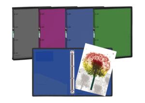 Carpeta de 4 anillas