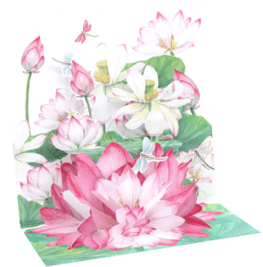 3D Pop-Up 23897