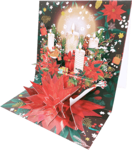 3D Pop-Up 24055
