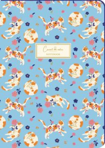 Cuaderno A5 25244
